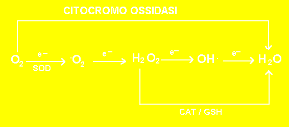[reazione chimica]