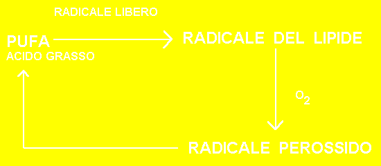 [reazione chimica]